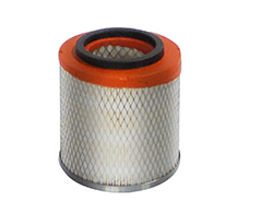 DA2900 AIR FILTER